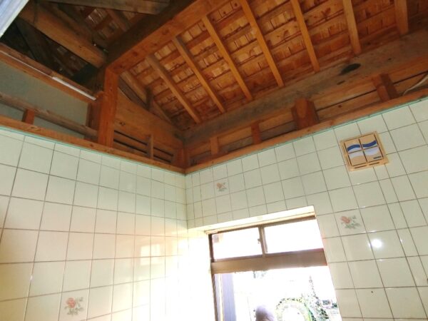 写真1